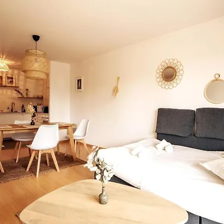 Big Near Old Town With Balcony + Parking Apartmán Lille