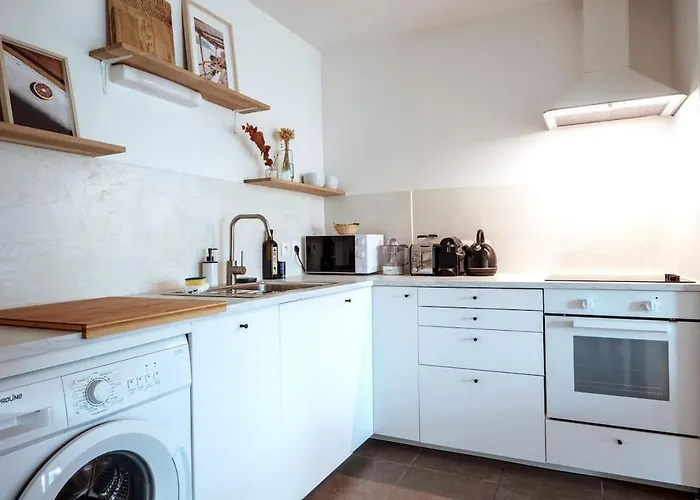 Big Near Old Town With Balcony + Parking Lille