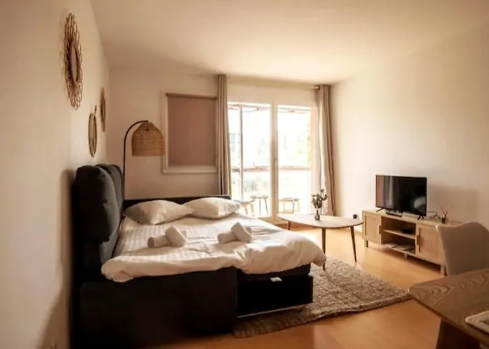 Big Near Old Town With Balcony + Parking * Lille