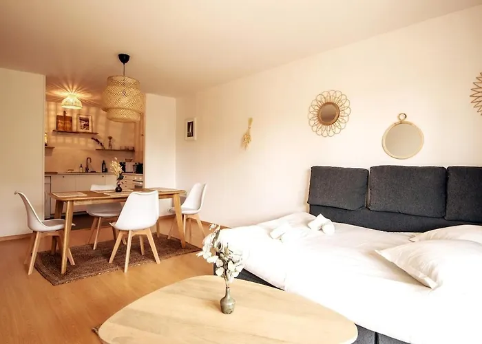 Big Near Old Town With Balcony + Parking Daire Lille
